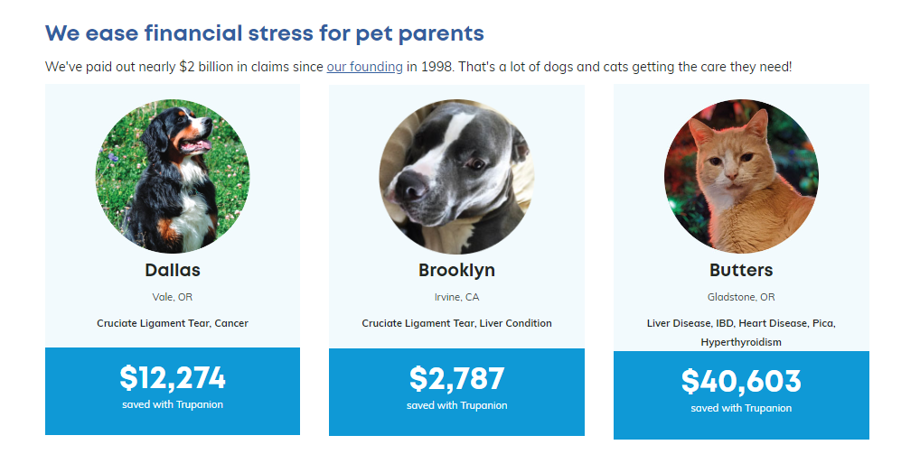 Insurance trupanion dog